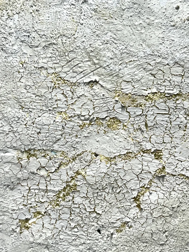 La Emprendada, detalle de textura